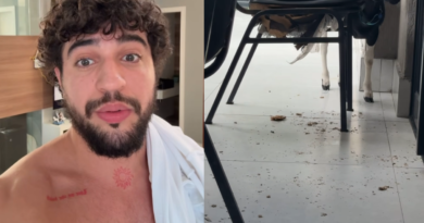 Nattanzinho lamenta cadeira destruída por carneiro que ganhou em show: “Trabalho demais”