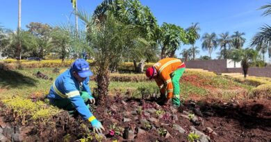 Comurg implanta novo paisagismo no Paço Municipal e faz manutenção em jardins de 36 praças de Goiânia