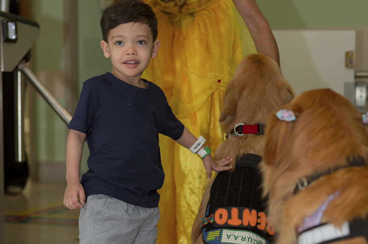 Cães terapêuticos e mascotes levam alegria ao atendimento pediátrico da Unimed Goiânia