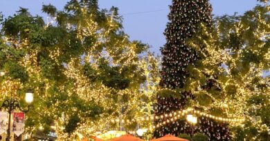 Equatorial Goiás alerta para cuidados com decoração elétrica de Natal