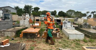Goiânia reforça zeladoria em cemitérios municipais