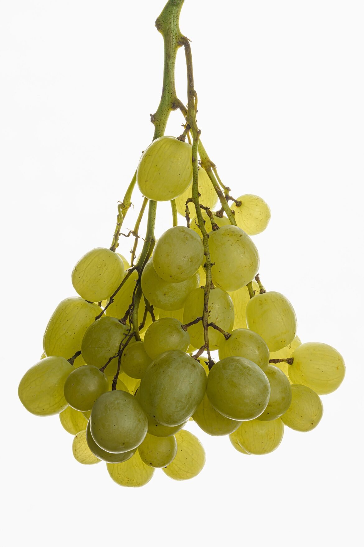 Cacho de uvas verdes em fundo claro.
