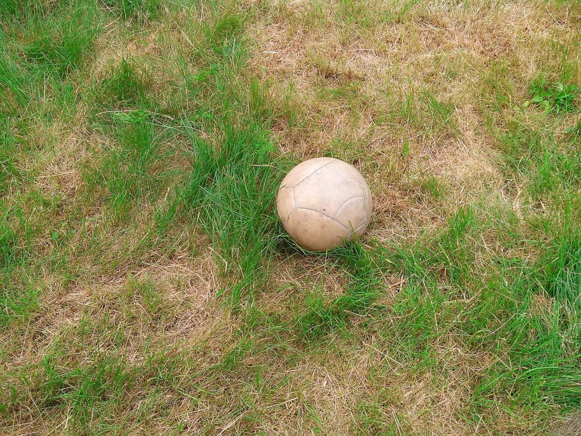Bola de futebol sobre gramado.