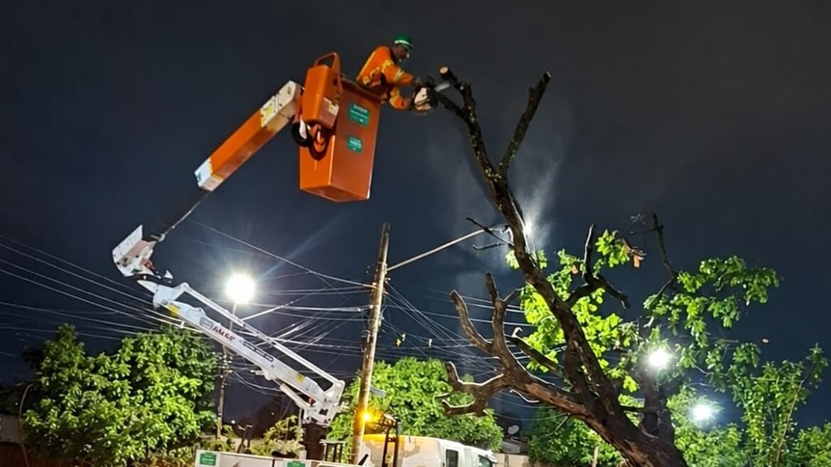 Trabalhador em cesto elevado corta galhos durante operação após chuvas em Goiânia